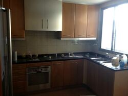 Twin Heights (D12), Apartment #541866681